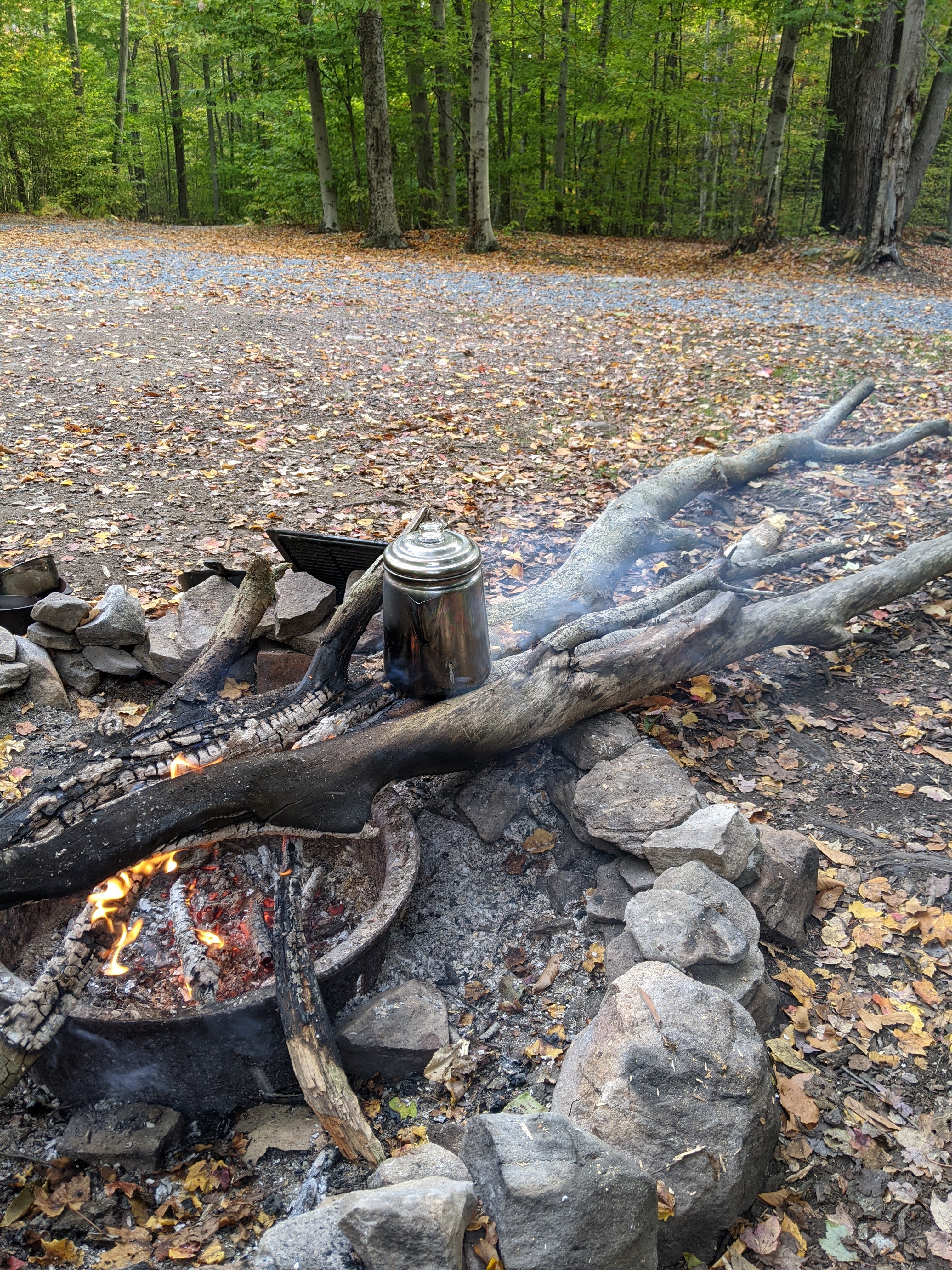 Camper submitted image from Secluded Acres Campground - 1