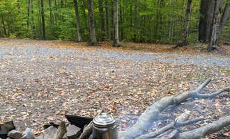 Camping near Lower Lake Campground Northwoods Area — Promised Land State Park: Secluded Acres Campground, Paupack, Pennsylvania