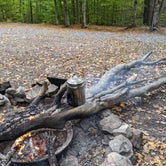 Review photo of Secluded Acres Campground by Julie , October 13, 2020