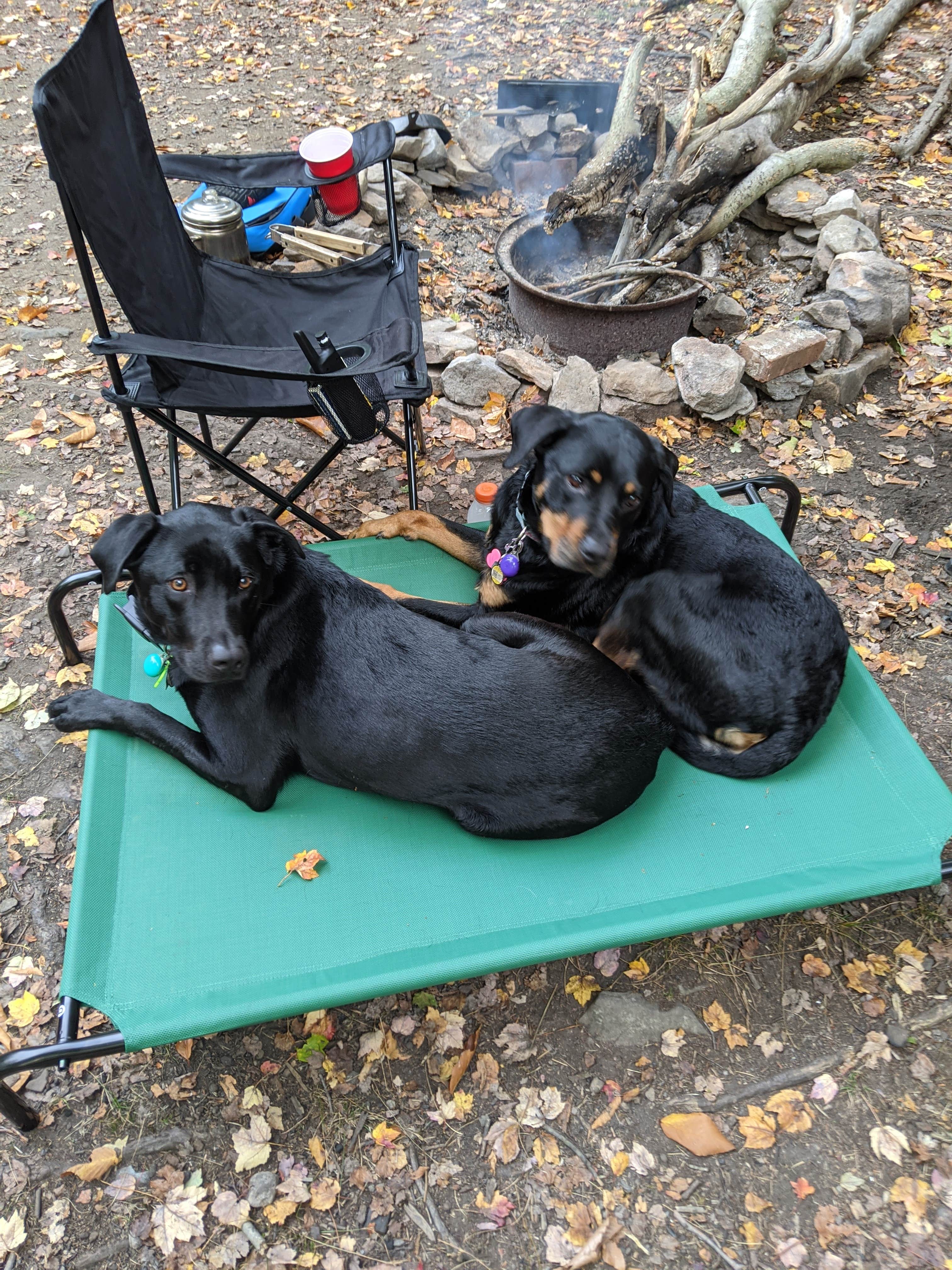 Camper-submitted photo at Secluded Acres Campground near Hawley, PA