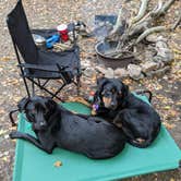 Review photo of Secluded Acres Campground by Julie , October 13, 2020