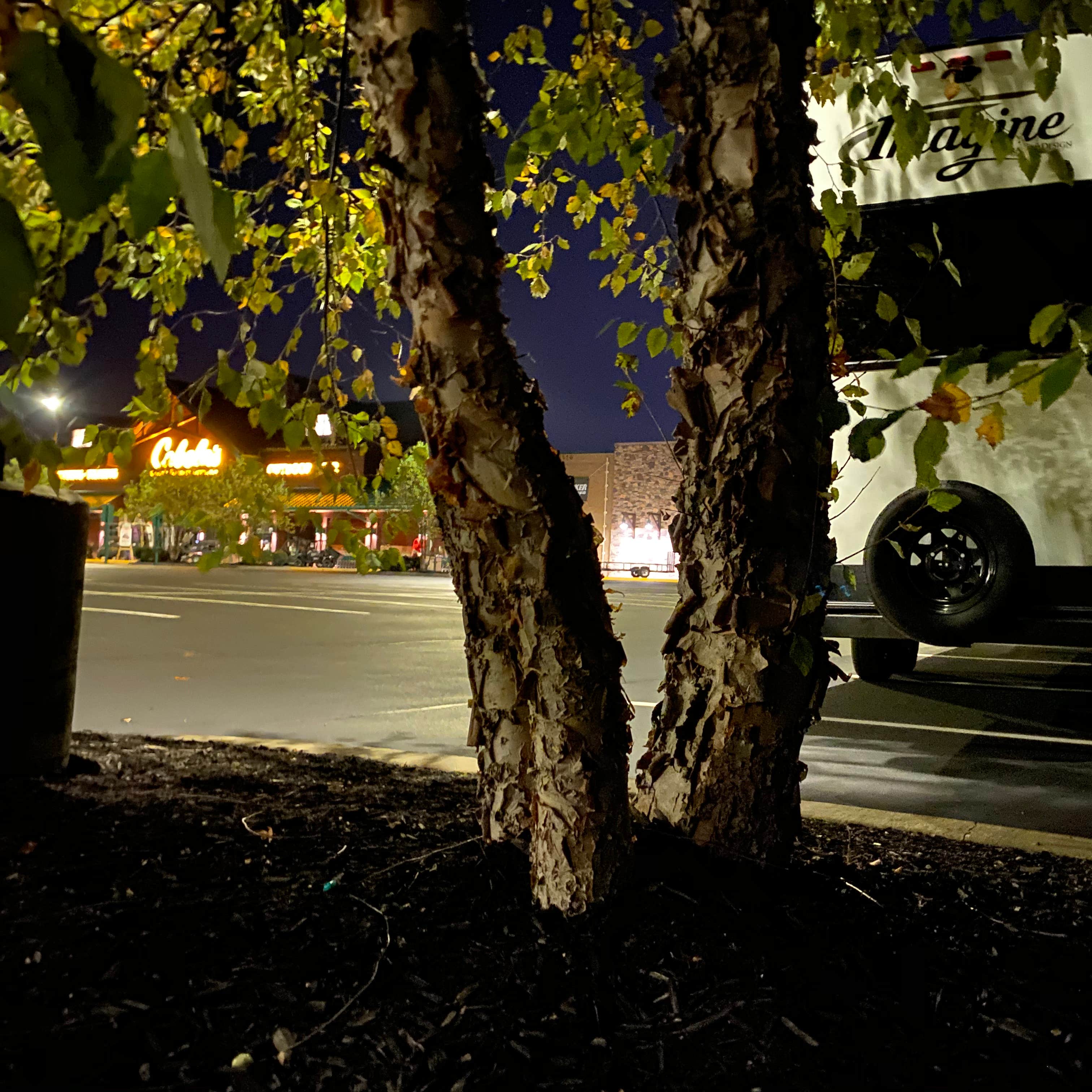 Cabela’s Parking Lot Camping The Dyrt