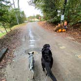 Review photo of Yonah Mountain Campground by Andrea F., October 13, 2020