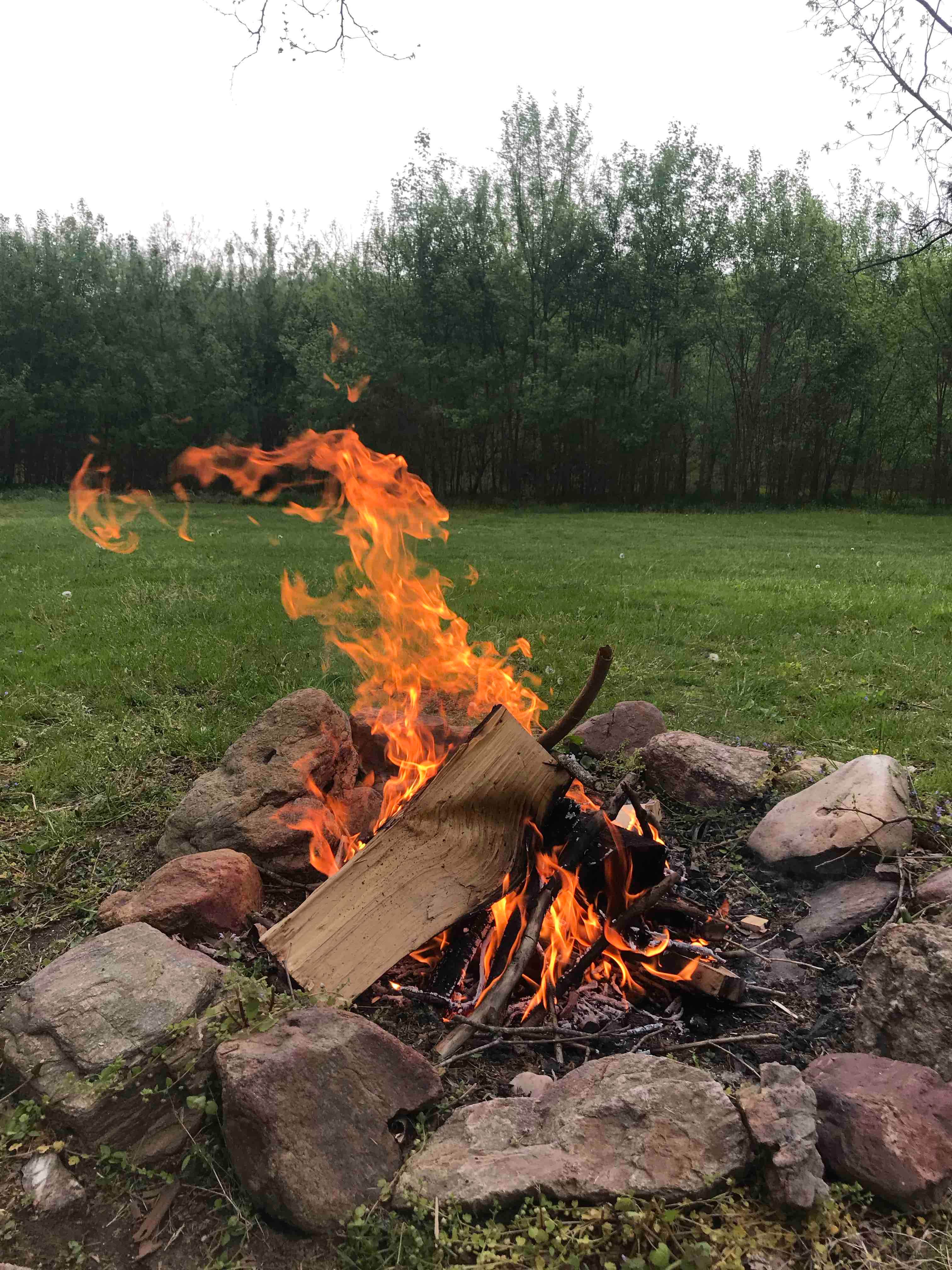Activities