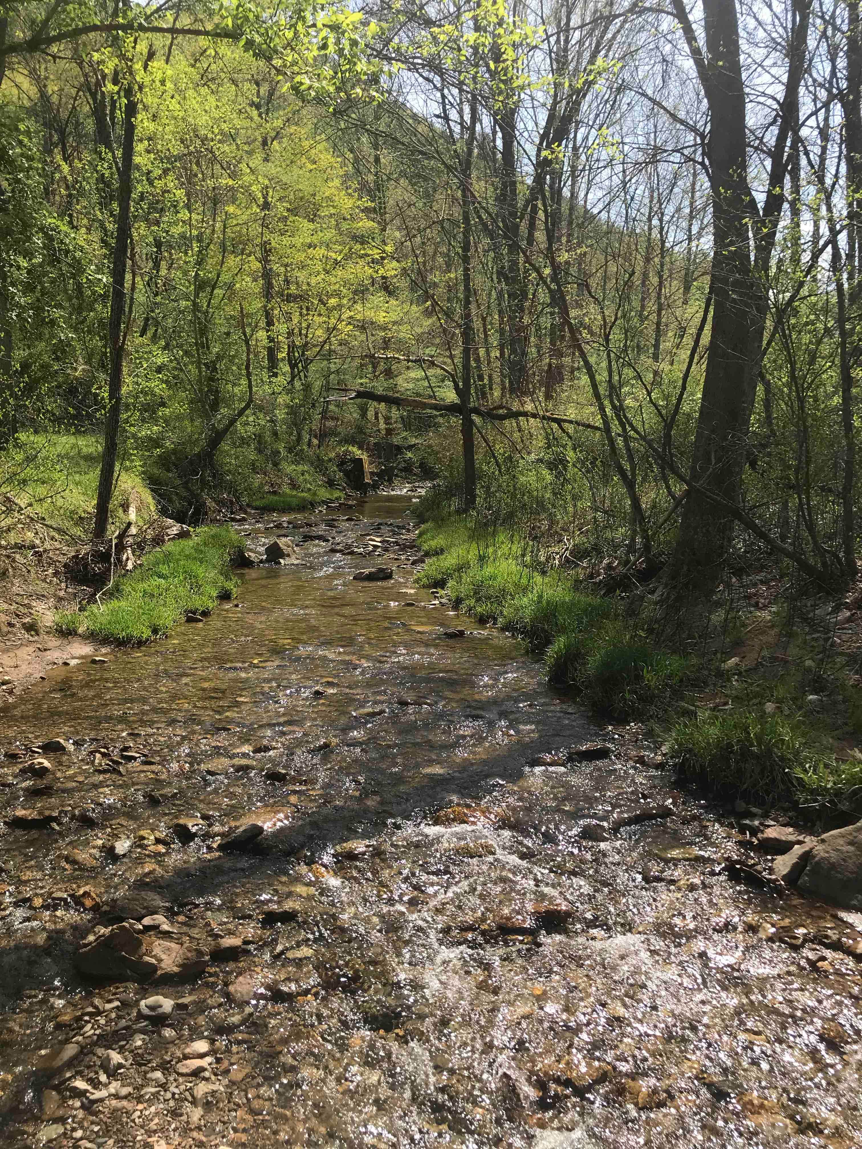 Water