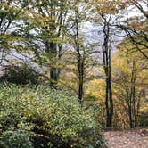 Review photo of Blue Ridge Roadside Campsites by Frank  M., October 13, 2020