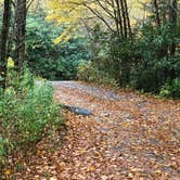 Review photo of Blue Ridge Roadside Campsites by Frank  M., October 13, 2020