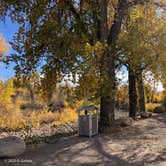 Review photo of Lander City Park by Rüdiger G., October 11, 2020