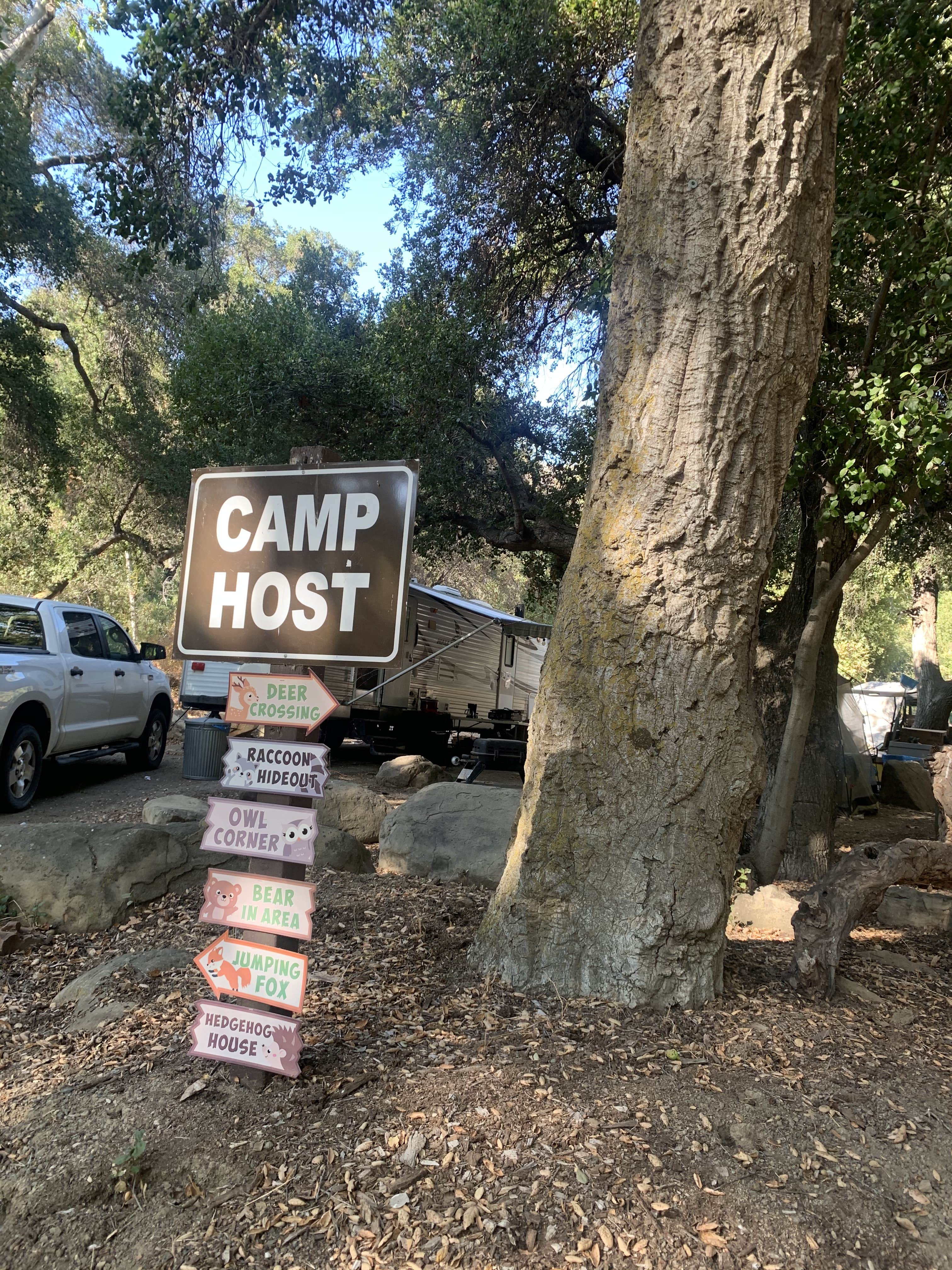 Camping near Reyes Creek Group Campground: Wheeler Gorge Campground, Ojai, California