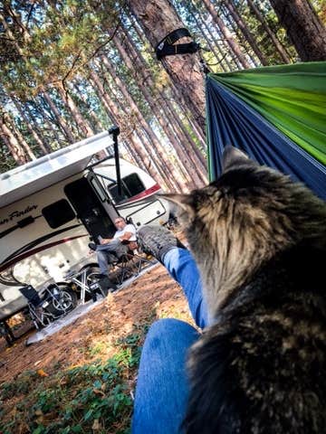 Bobbi Jo K.'s photo of camping with pets at Nordhouse Dunes Wilderness - Green Road near Free Soil, MI