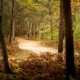 Review photo of Nordhouse Dunes Wilderness - Green Road by Bobbi Jo K., October 13, 2020