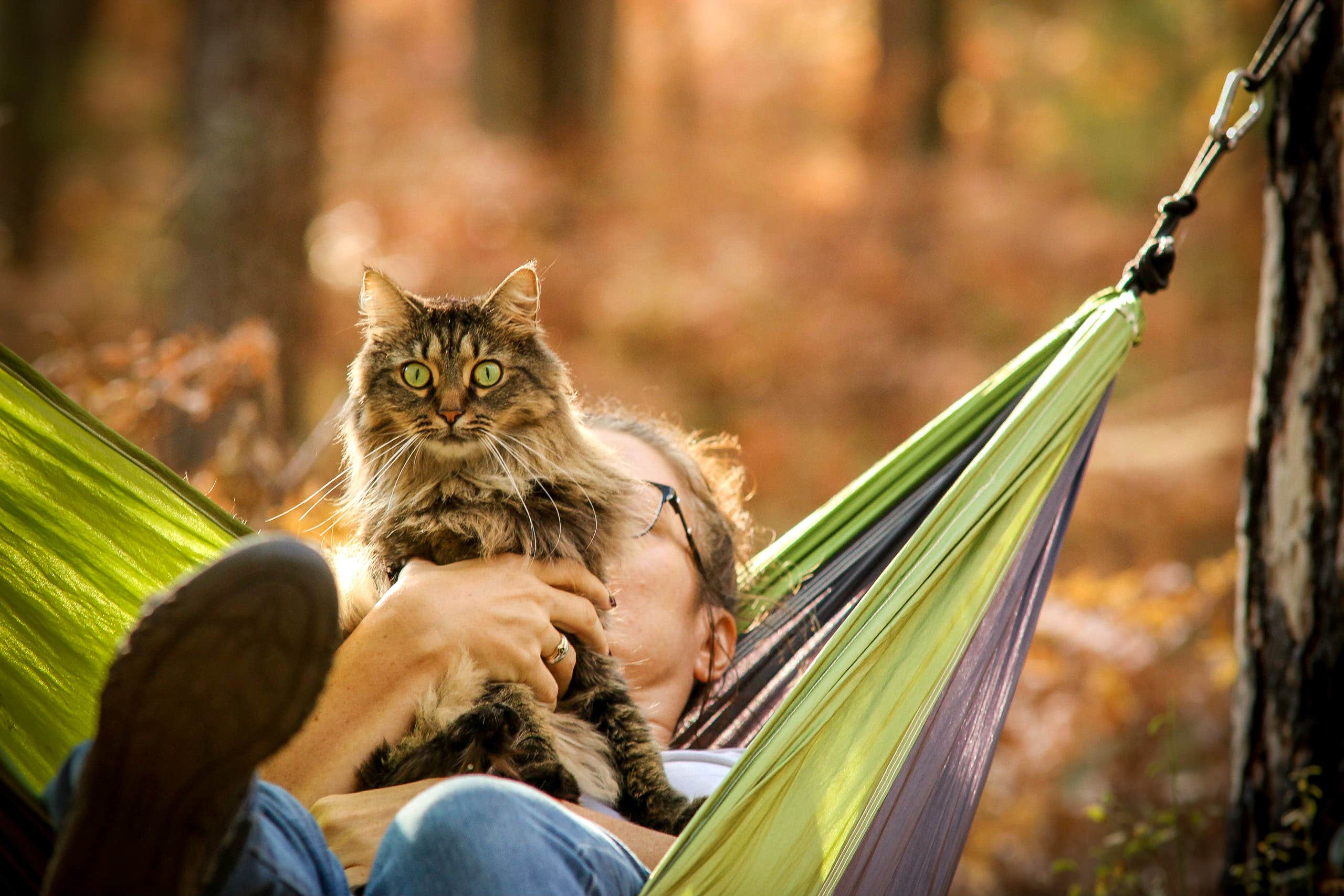 Bobbi Jo K.'s photo of camping with pets at Nordhouse Dunes Wilderness - Green Road near Free Soil, MI