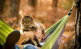 Bobbi Jo K.'s photo of camping with pets at Nordhouse Dunes Wilderness - Green Road near Free Soil, MI