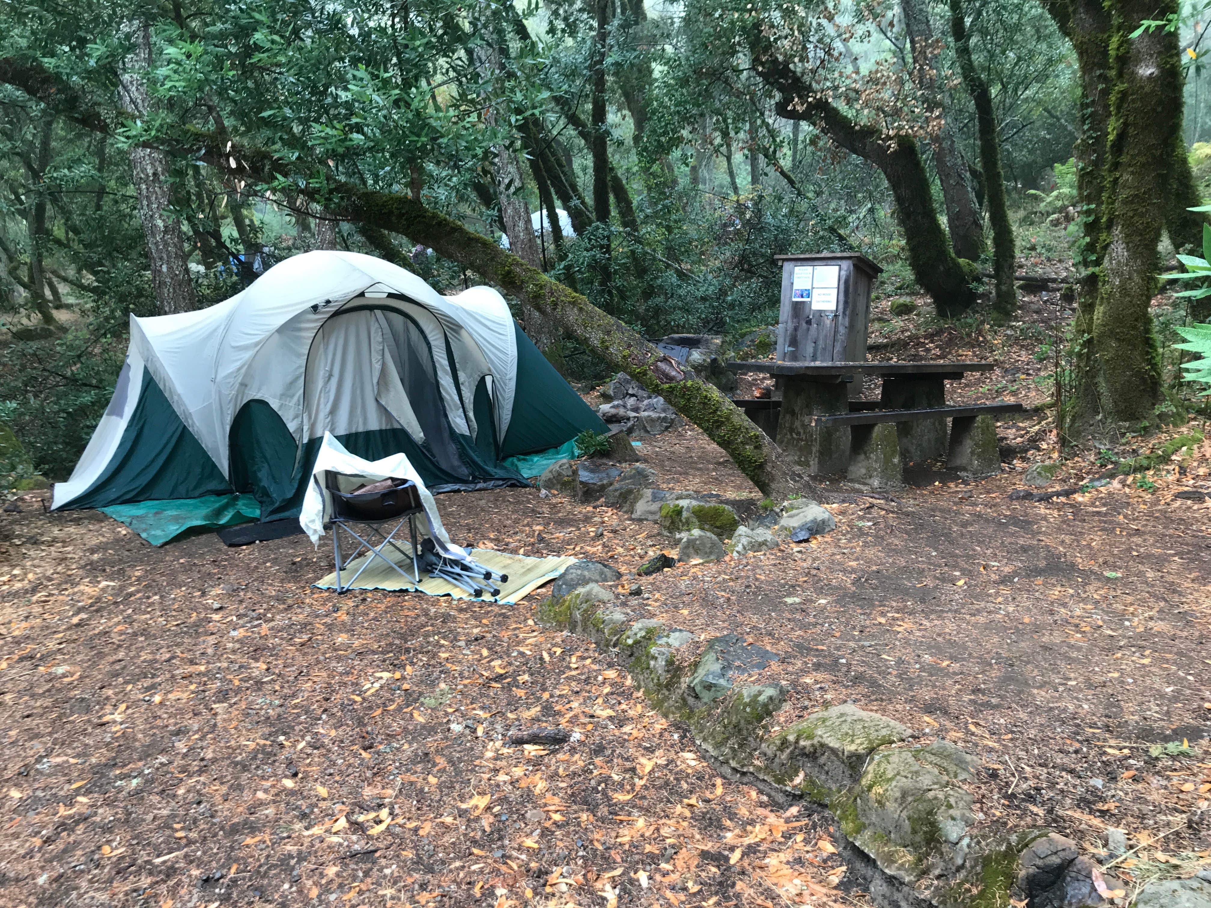 Camper submitted image from Bootjack Campground — Mount Tamalpais State Park - 2