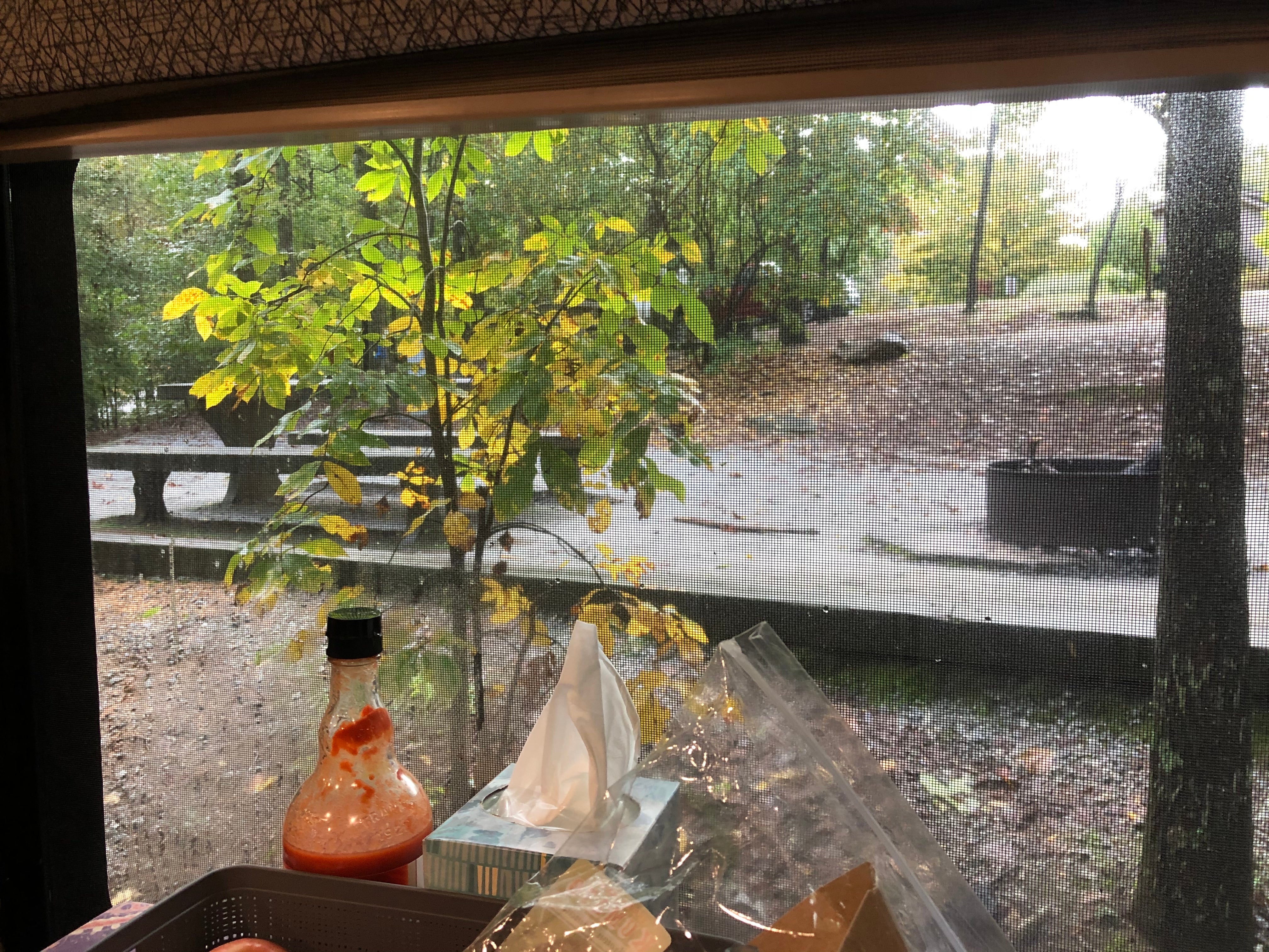 Camper submitted image from Terrora Park Campground - 2