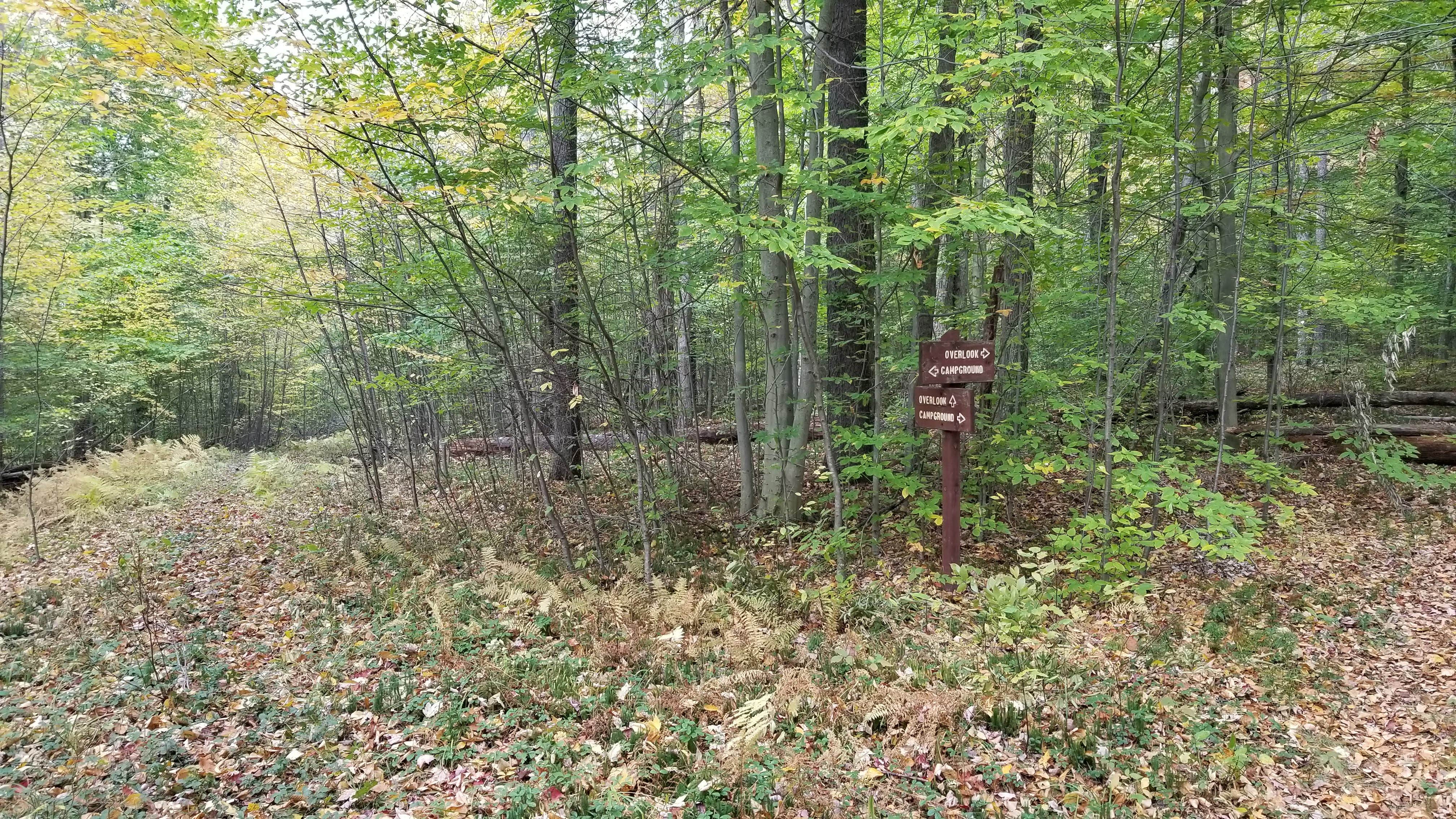 Camper-submitted photo at Loleta Recreation near Sigel, PA