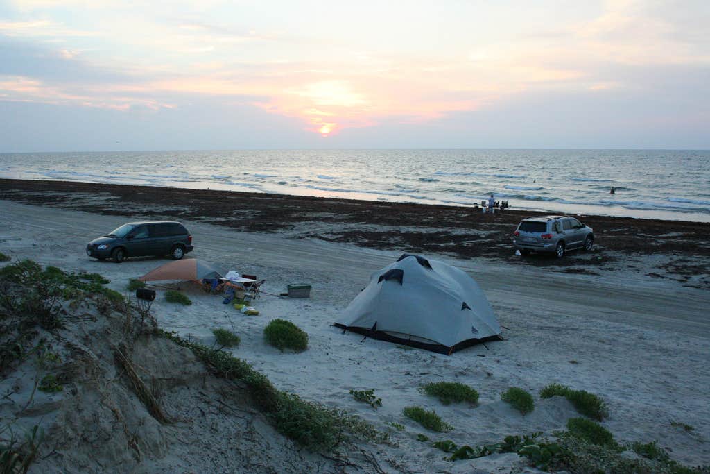 Camper submitted image from South Beach — Padre Island National Seashore - 4