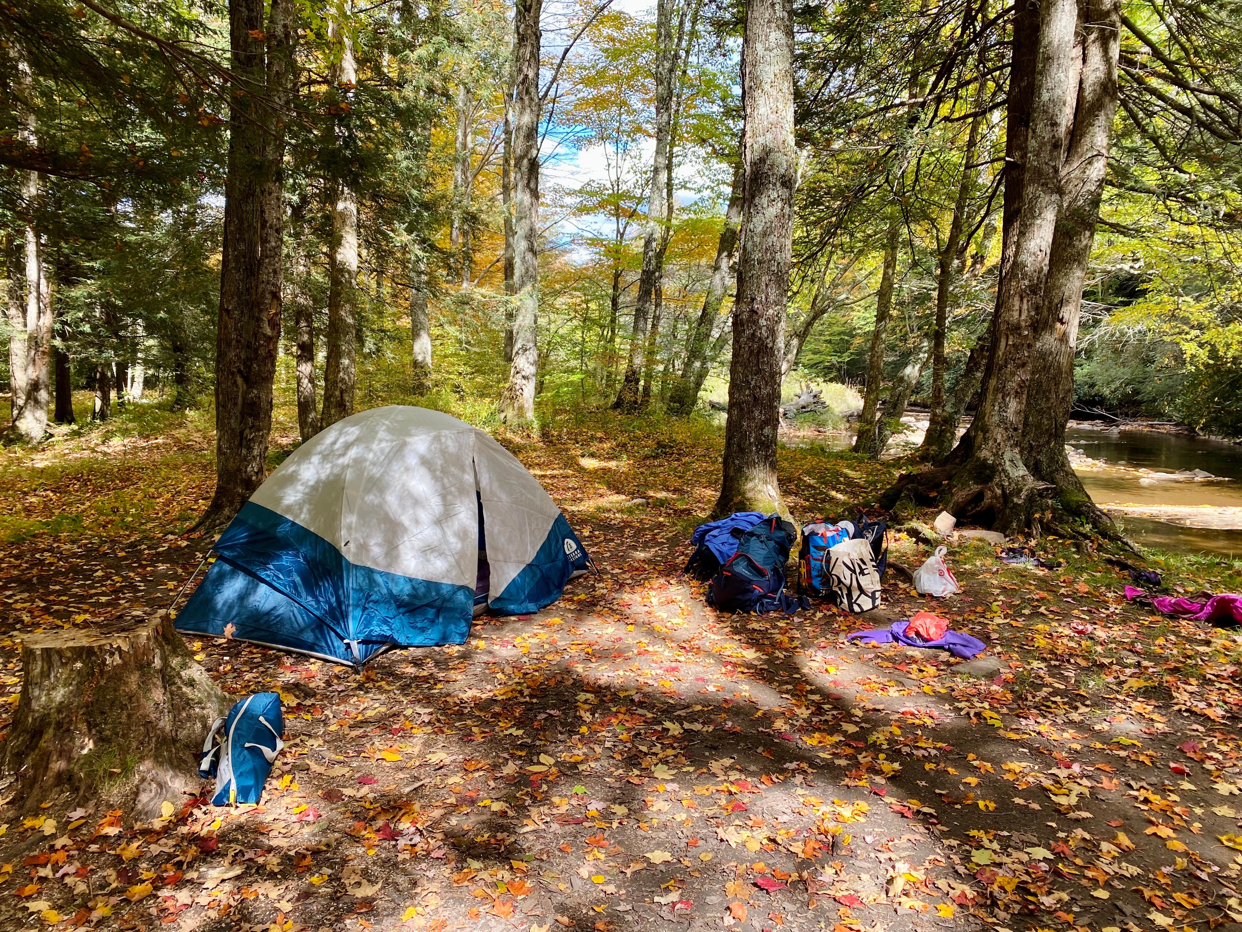 Amorina P.'s photo of a dispersed camping area at Gandy Creek Dispersed Camping near Singers Glen, VA
