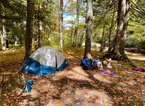 Gandy Creek Dispersed Camping