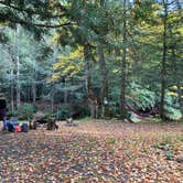 Review photo of Gandy Creek Dispersed Camping by Amorina P., October 13, 2020