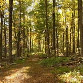 Review photo of Pickerel Point Campground — Promised Land State Park by Alaina Z., October 13, 2020