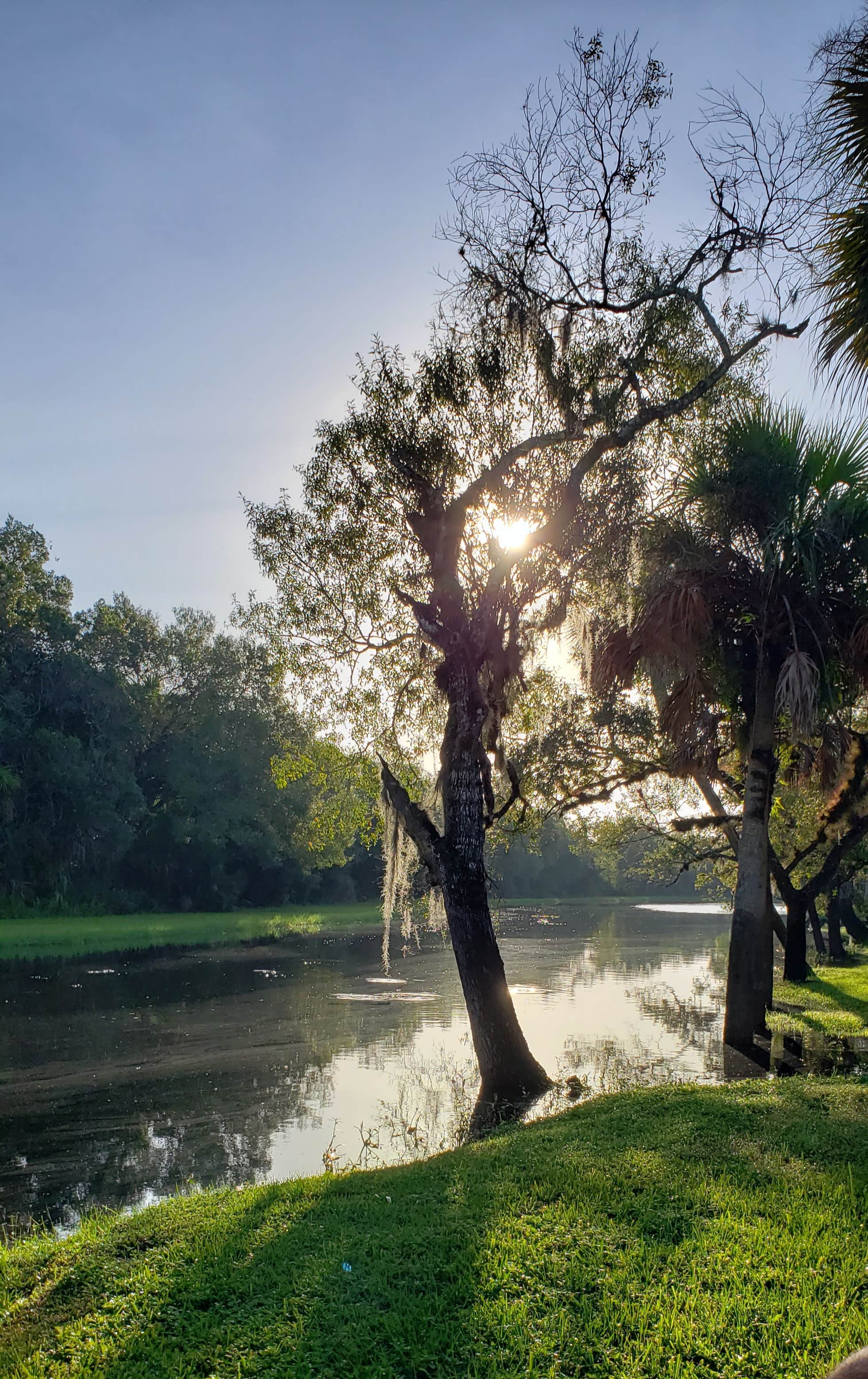 Camper-submitted photo at Camp Venice Retreat near St. James City, FL