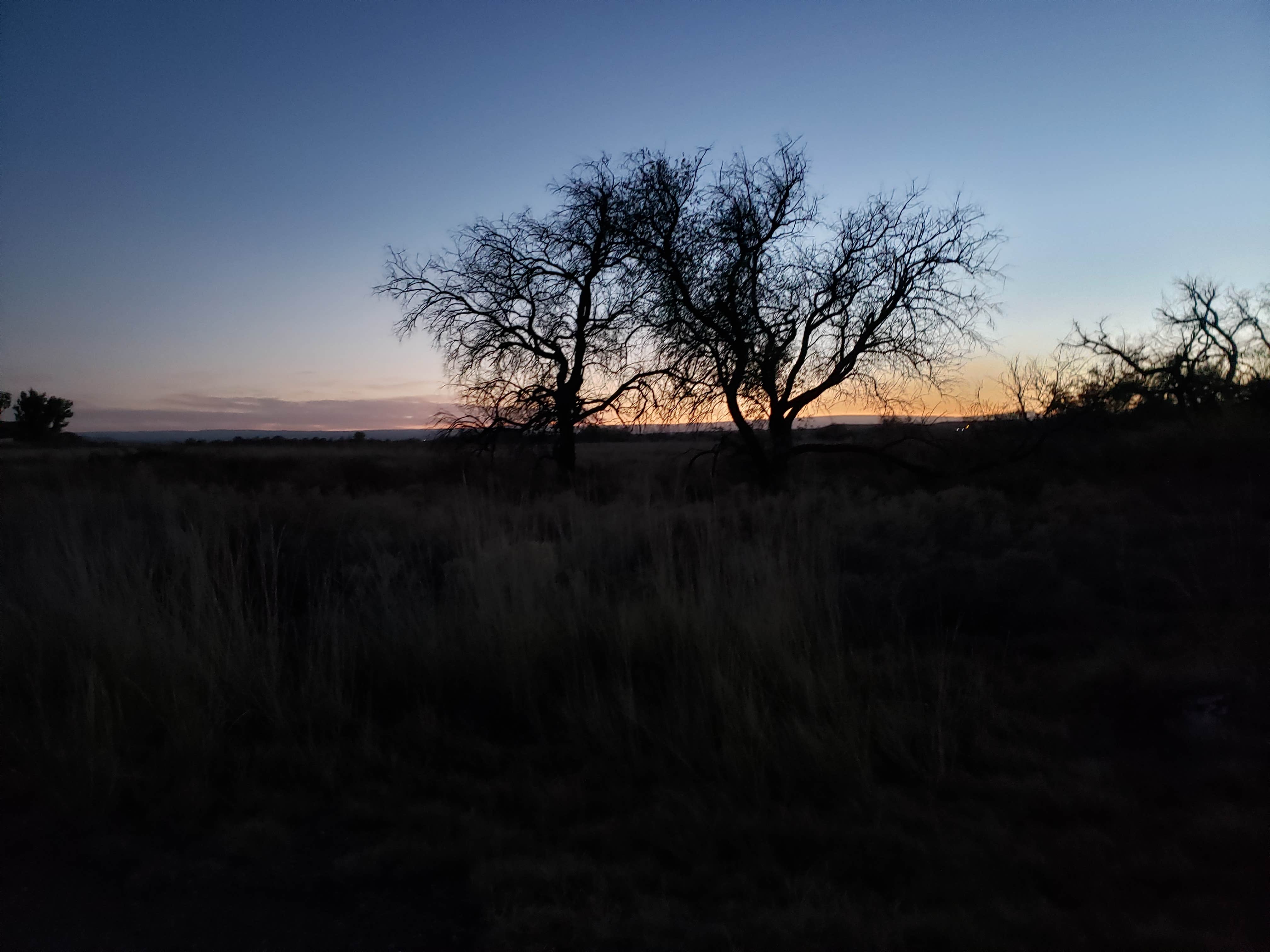 Camper-submitted photo at Jacks Creek Campground near Bruneau, ID
