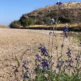 Review photo of Terlingua Abajo — Big Bend National Park by Sam W., October 13, 2020