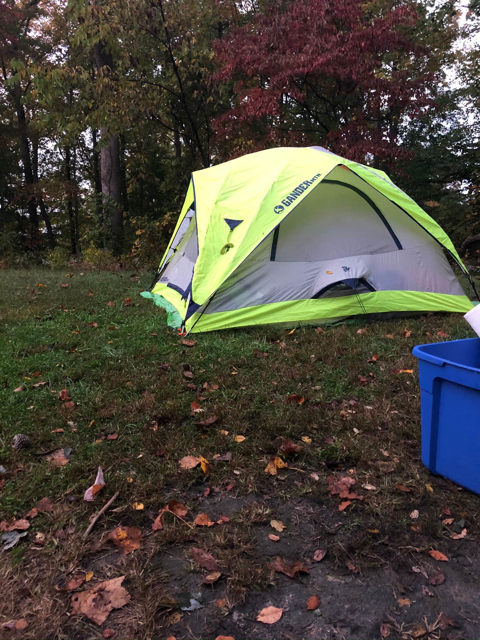 Caroline's photo at Tar Hollow State Park Campground near Latham, OH