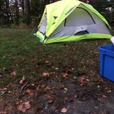 Review photo of Tar Hollow State Park Campground by Caroline , October 13, 2020