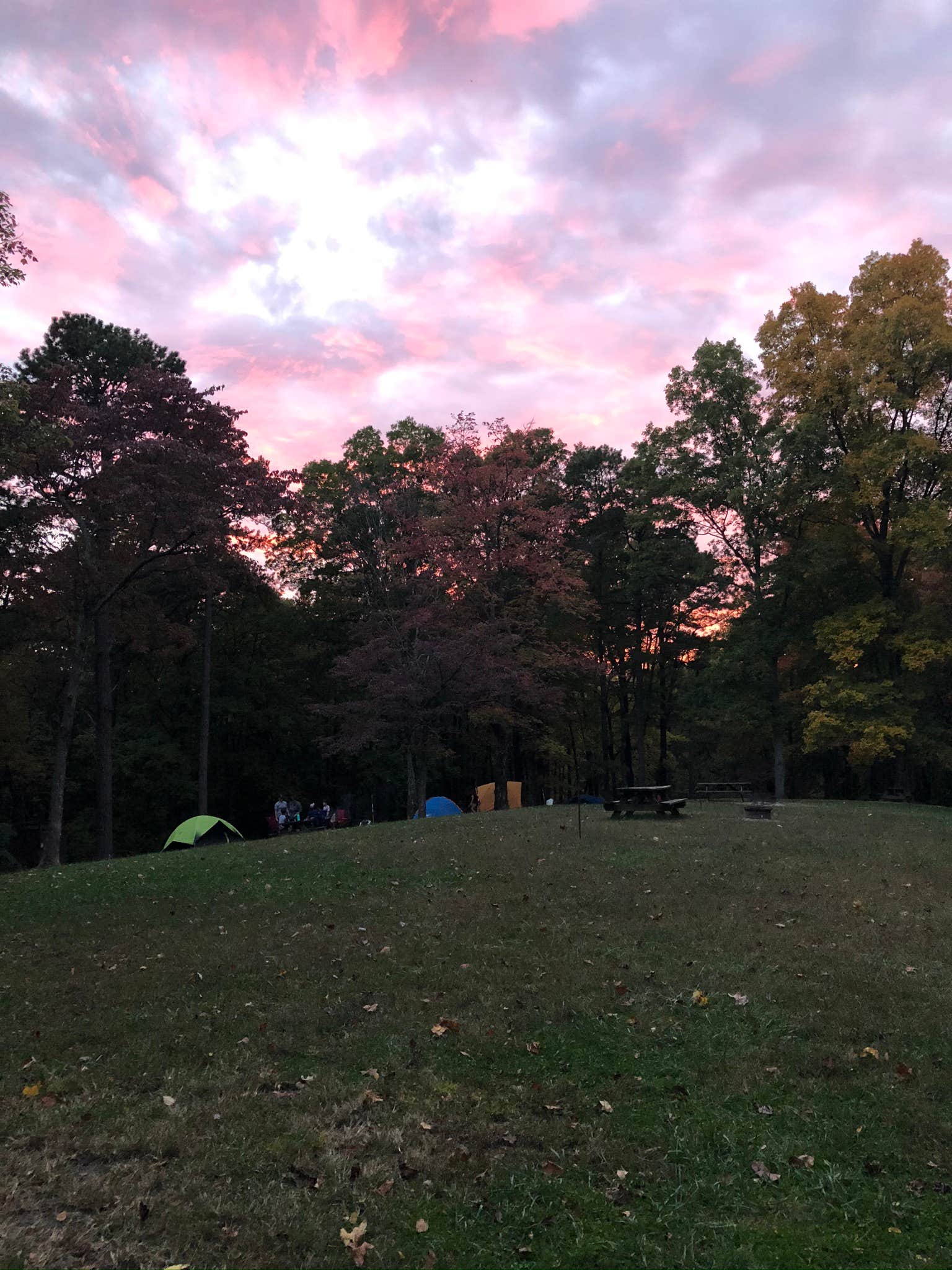 Caroline's photo at Tar Hollow State Park Campground near Huntsville, OH
