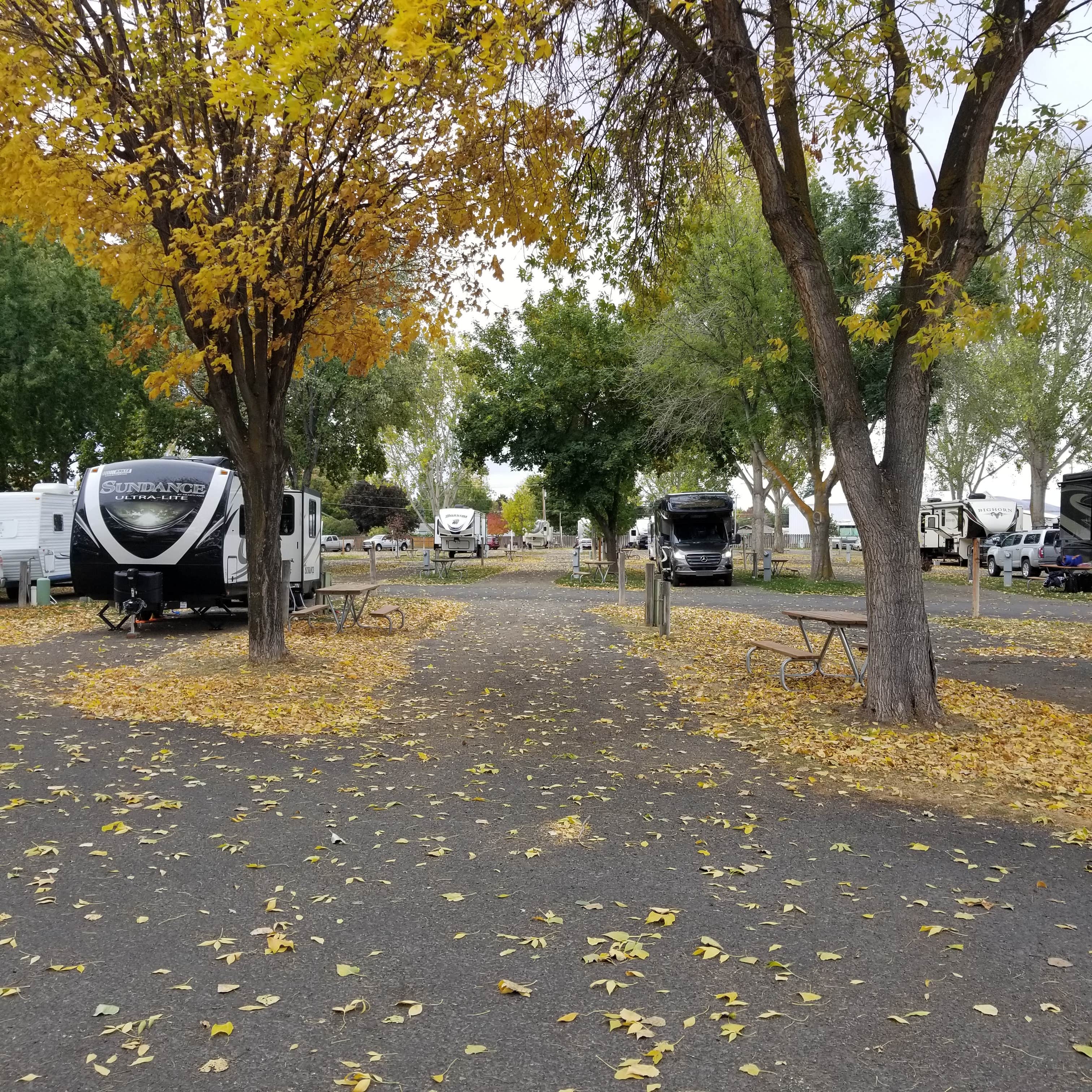 Camper submitted image from Mtn View RV Park - 3
