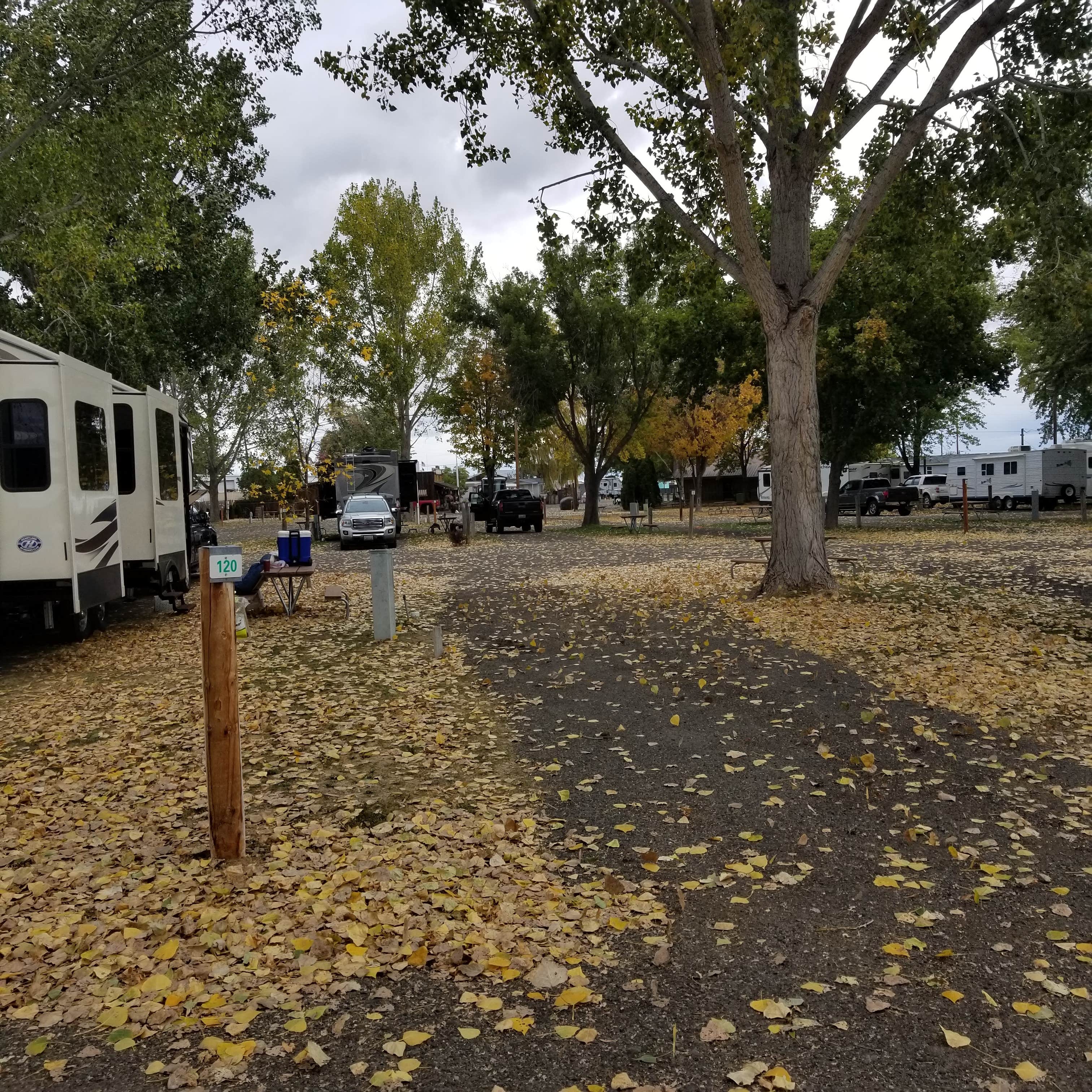Camper-submitted photo at Mtn View RV Park near Oxbow, OR