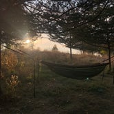 Review photo of Afton State Park Campground by Alicia A., October 13, 2020