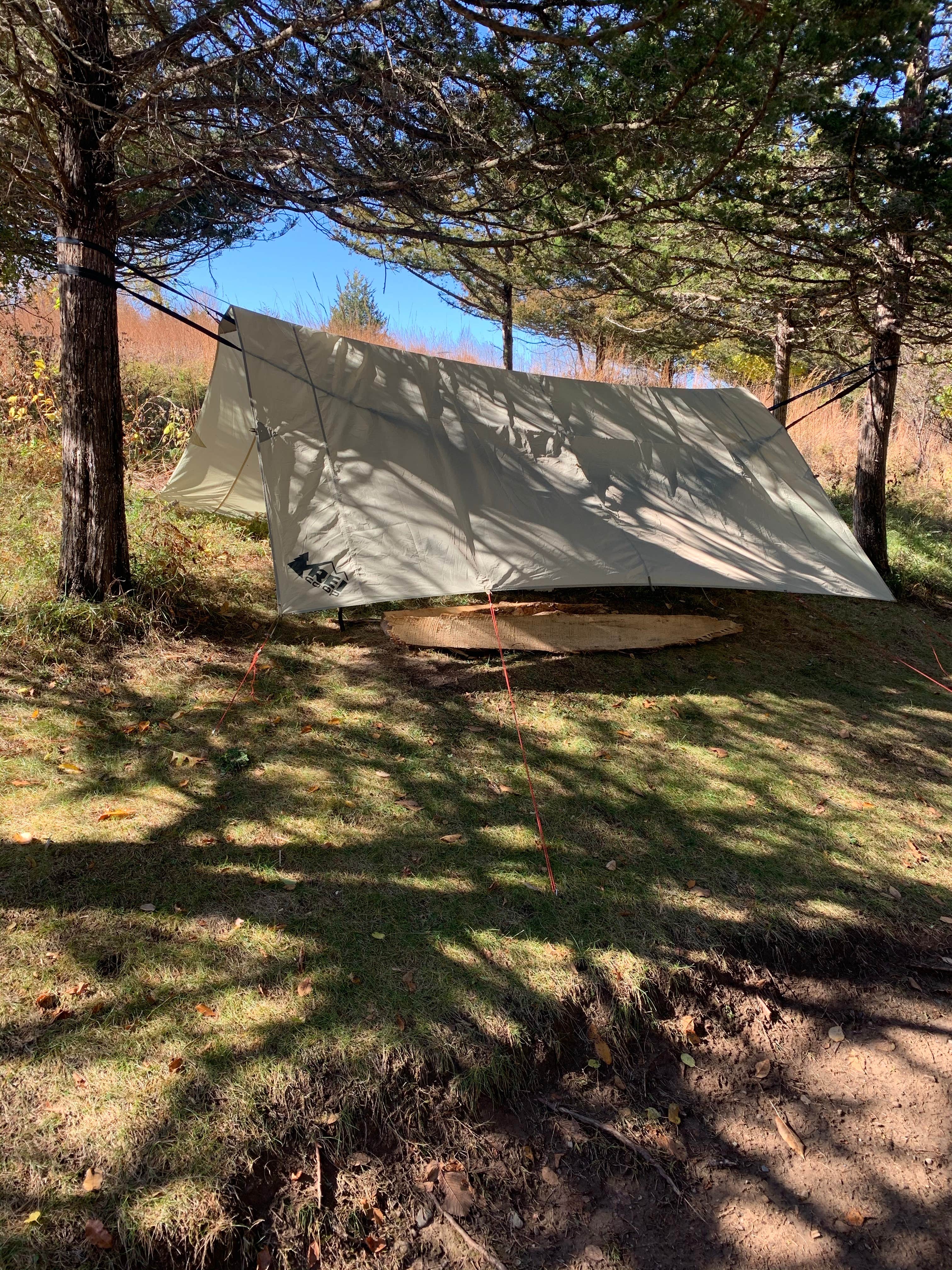 Alicia A.'s photo at Afton State Park Campground near Roseville, MN