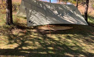 Alicia A.'s photo at Afton State Park Campground near Roseville, MN