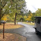 Review photo of Memaloose State Park Campground by Sarah S., October 13, 2020