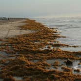 Review photo of South Beach — Padre Island National Seashore by Richard M., July 9, 2016