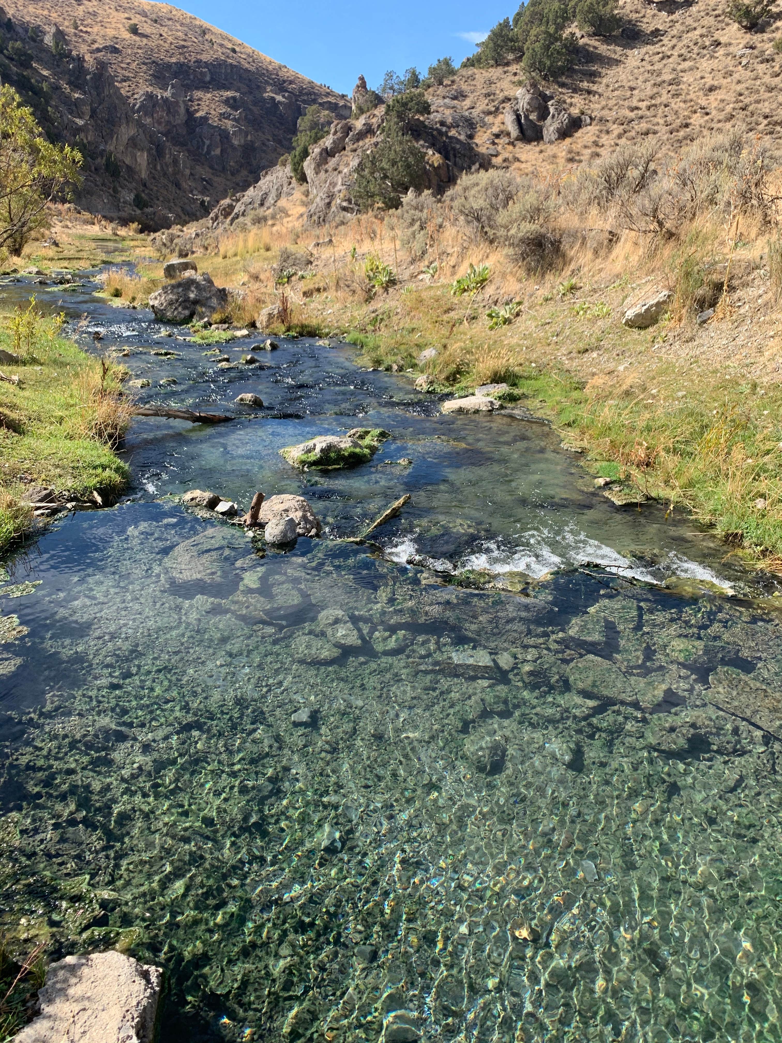 Camper submitted image from 12 Mile Hot Springs Dispersed Camping - 5