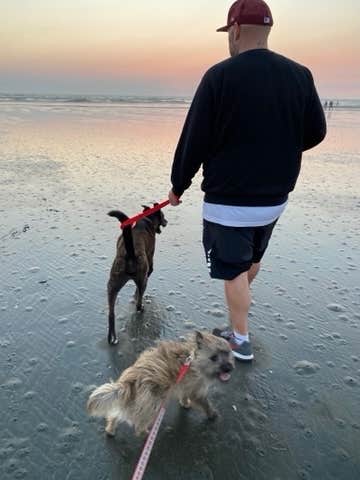 Amanda C.'s photo of camping with pets at Copalis Beach RV Resort near Westport, WA