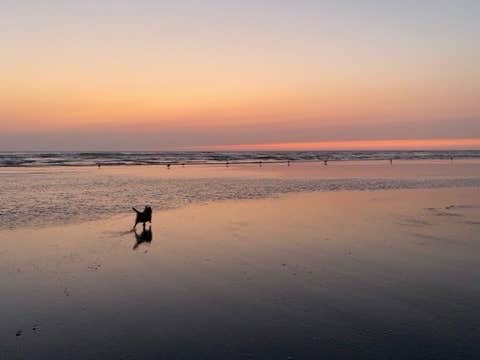 Camper-submitted photo at Copalis Beach RV Resort near Aberdeen, WA