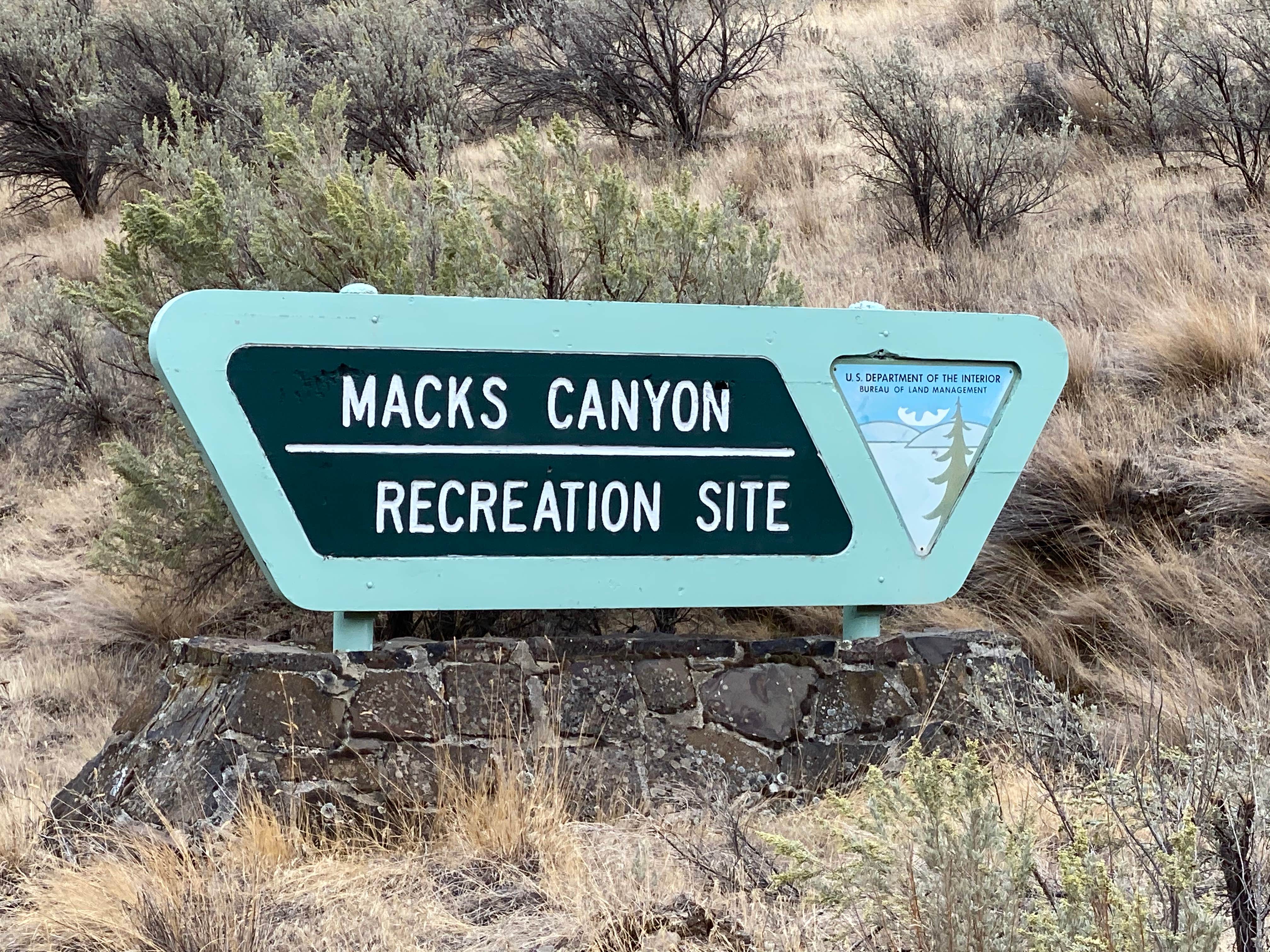 Camper submitted image from Macks Canyon Recreation Site - 3