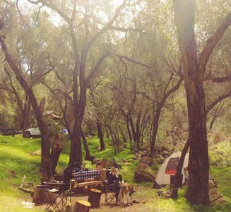 Camper-submitted photo from Gaviota State Park Campground