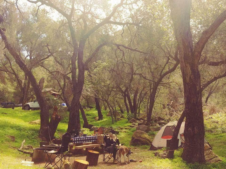 Camper submitted image from Los Prietos - 4