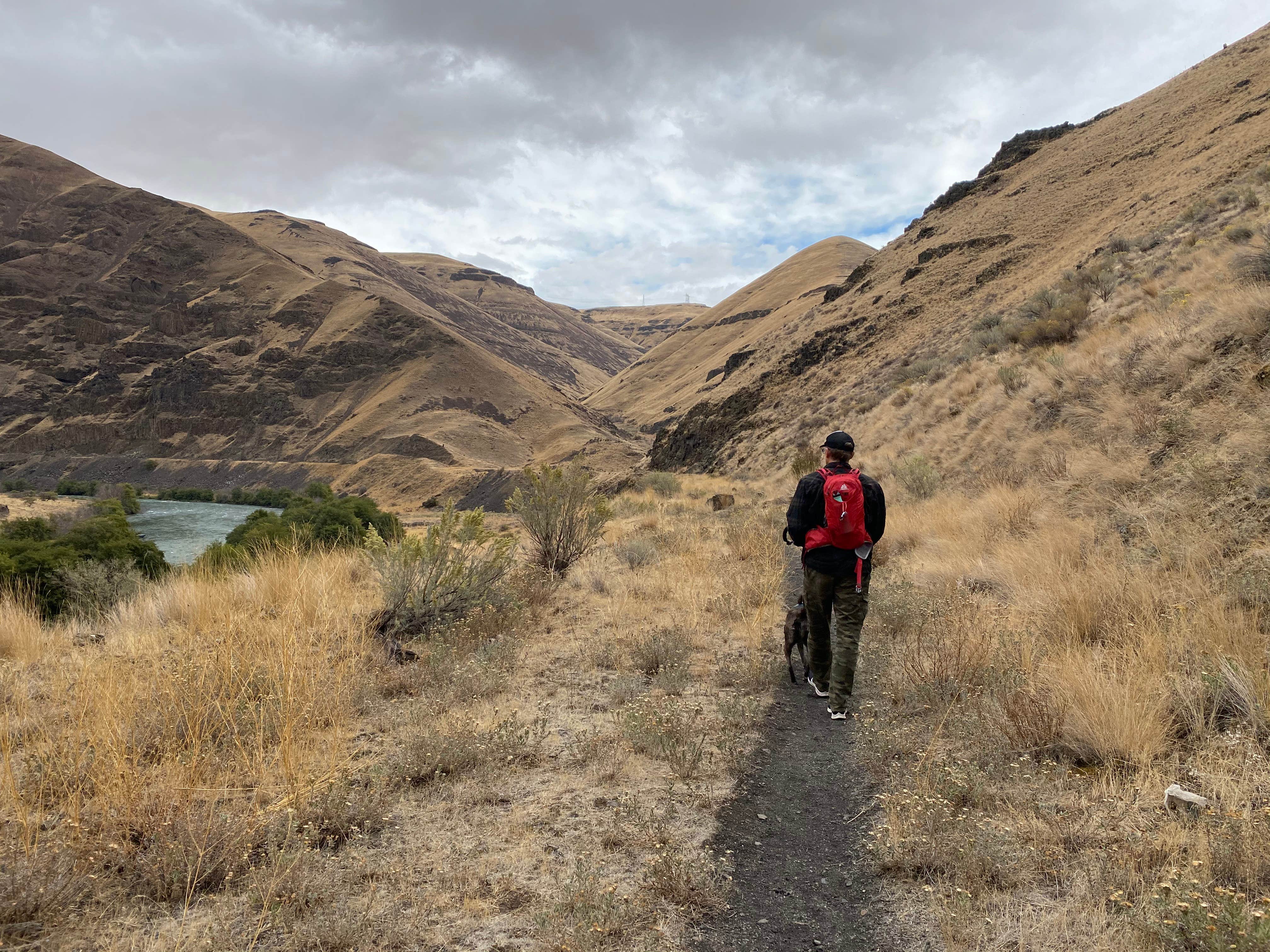 Camper submitted image from Macks Canyon Recreation Site - 5