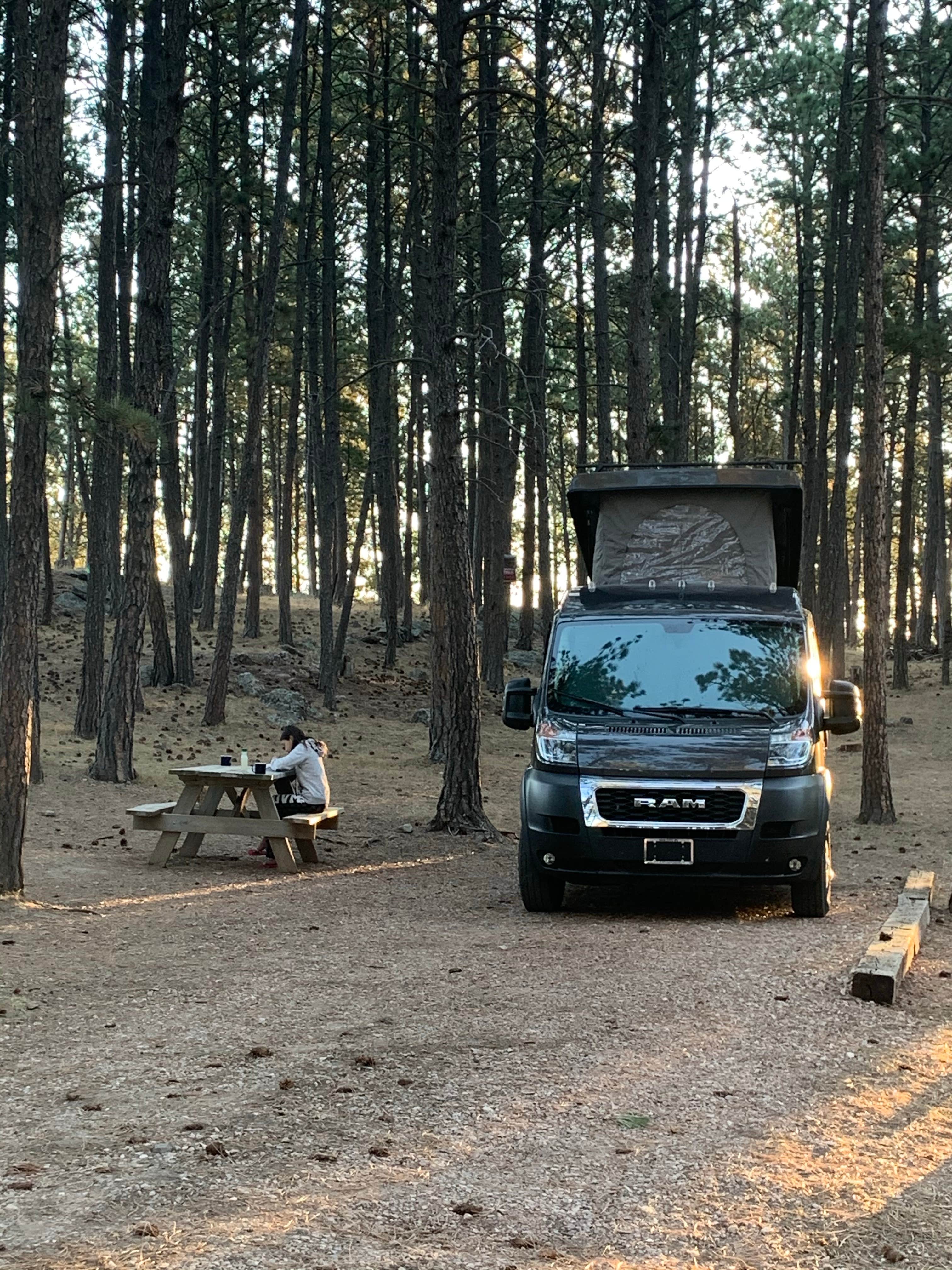 Camper submitted image from Big Pines - 4