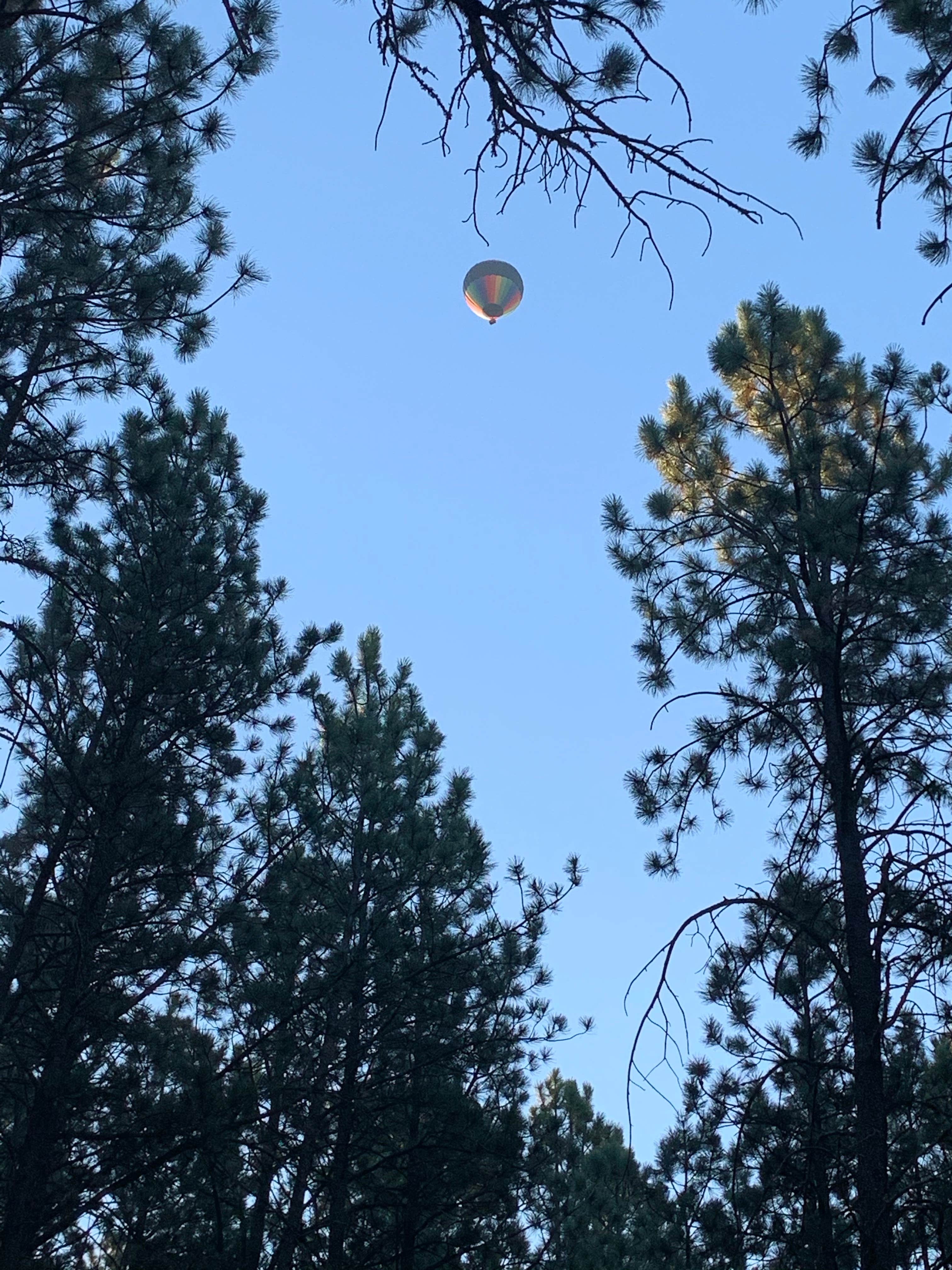 Camper-submitted photo at Big Pines near Selby, SD