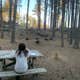 Big Pines