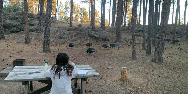 Camper submitted image from Big Pines