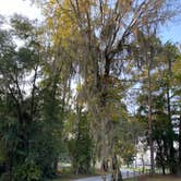 Review photo of Florence Marina State Park Campground by Andrea F., October 14, 2020